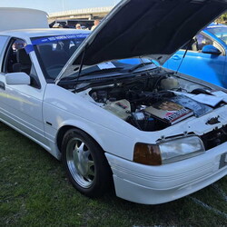 Car Shows